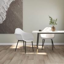  Eetkamerstoelen 2 st PP wit
