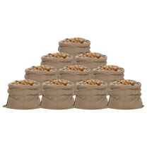  Jutezakken 10 stuks 340 g/m 100x110 cm 100% jute