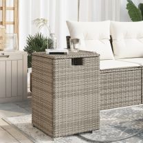  Afdekkast voor propaangasfles 40x40x60 cm Poly Rattan grijs