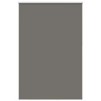 Rolgordijn verduisterend 155x210 cm stofbreedte 151,6 cm grijs
