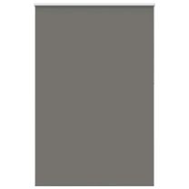Rolgordijn verduisterend 165x210 cm stofbreedte 161,6 cm grijs