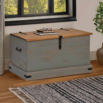  Opbergkist HALDEN grijs 91x48x47 cm massief grenenhout