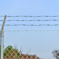  Prikkeldraad Groen 100 m Warmgedipte Gegalvaniseerde Staal