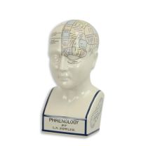 A PORCELAIN PHRENOLOGY HEAD / COLOURED