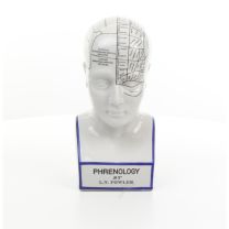 A PORCELAIN PRENOLOGY HEAD