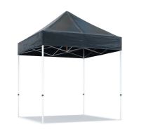 Easy up Professional Partytent 2x2m PVC gecoat polyester, kies je kleur