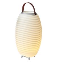 KOODUU Synergy 65 Stereo Luidspreker, LED Licht, Wijnkoeler en Bluetooth Geluidssysteem