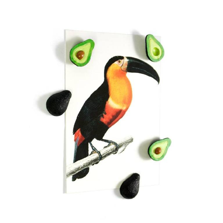 Trendform\u0020Magneten\u0020Avocado\u0020\u002D\u0020set\u0020van\u00205