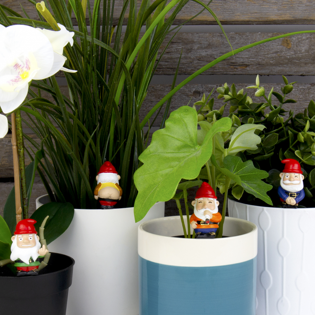 Gift\u0020Republic\u0020Stoute\u0020Kabouters\u0020Plantenbakken