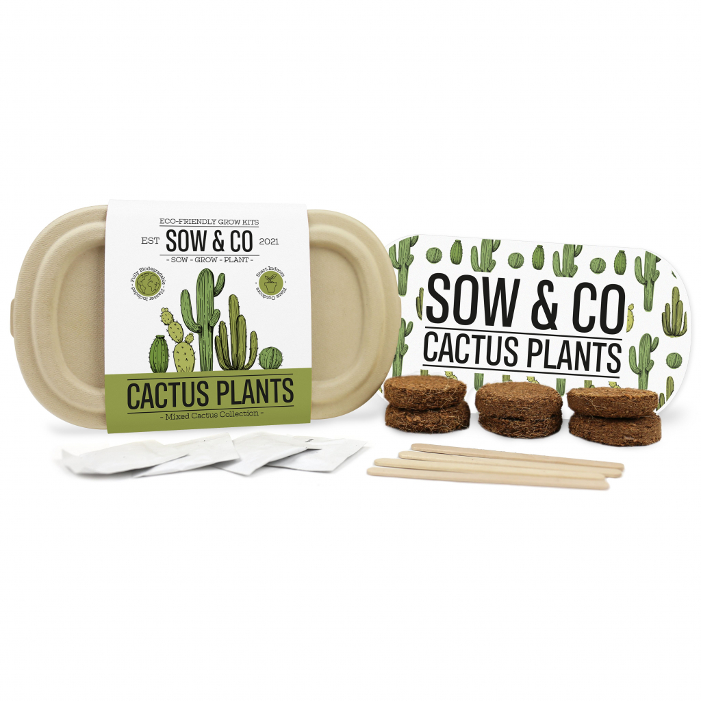 Gift\u0020Republic\u0020Cactus\u0020Planten