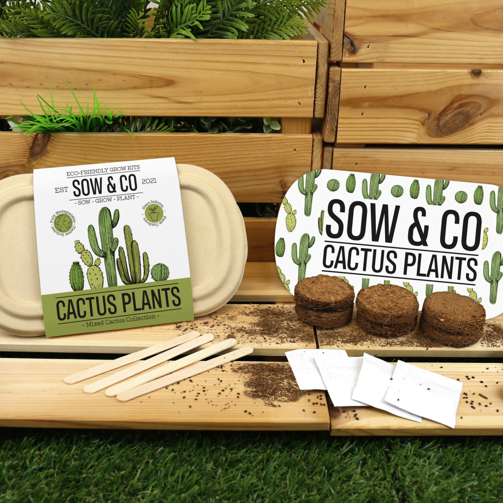 Gift\u0020Republic\u0020Cactus\u0020Planten