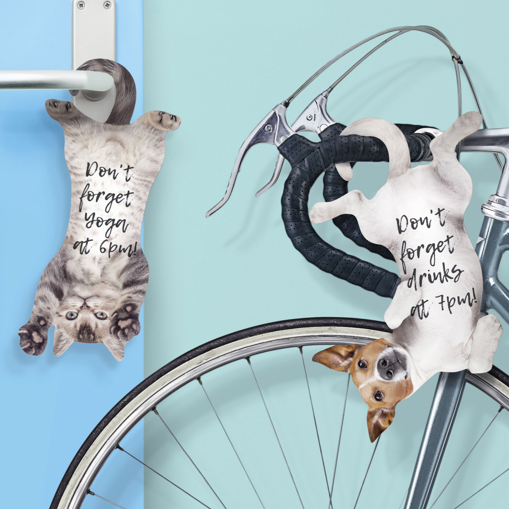 Mosterd\u0020Kat\u0020Hangende\u0020Notities