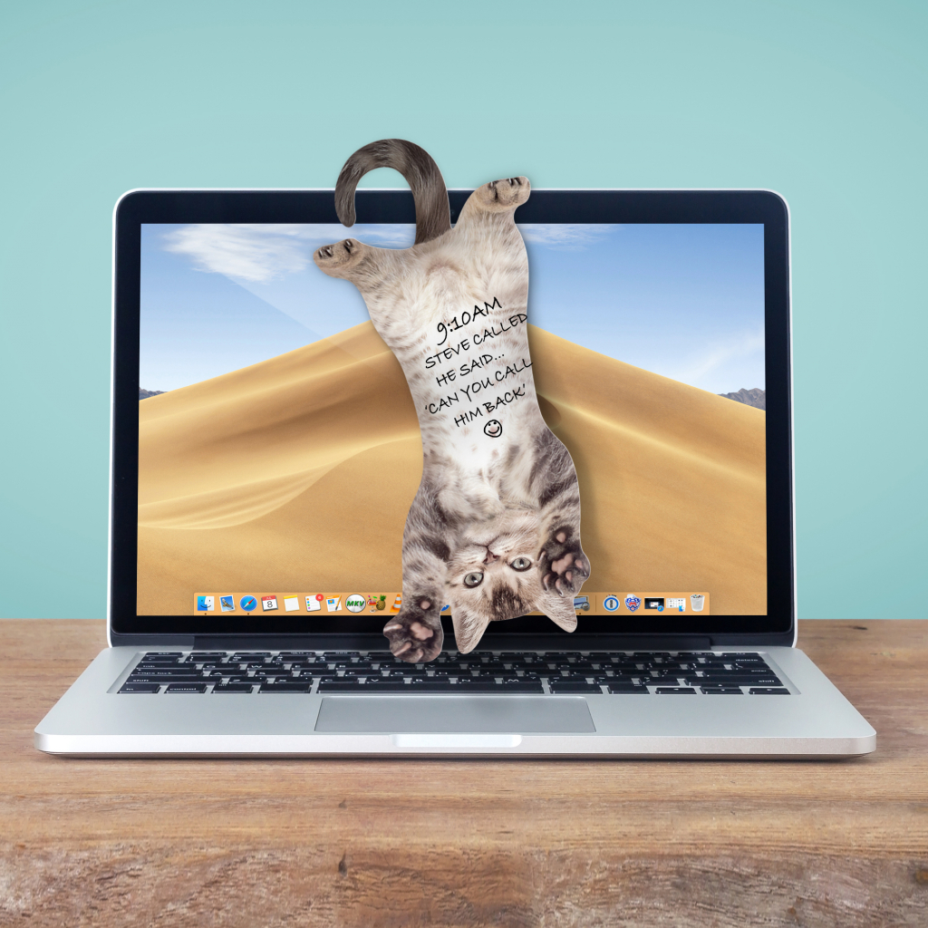 Mosterd\u0020Kat\u0020Hangende\u0020Notities