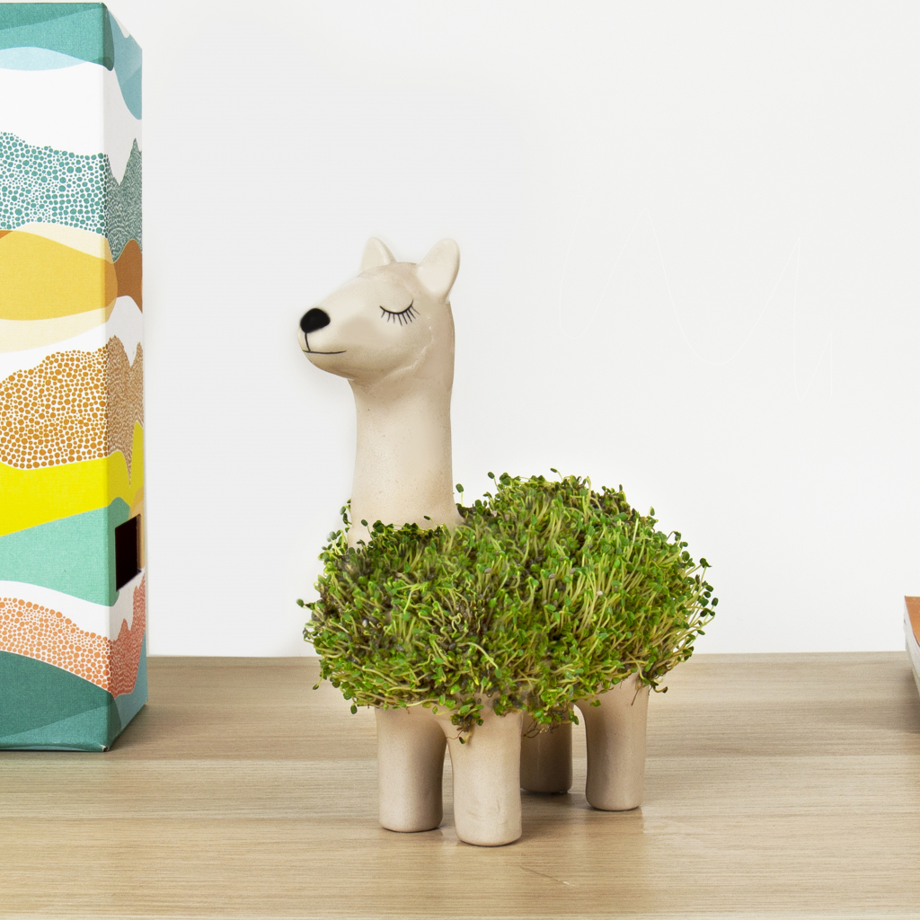 Gift\u0020Republic\u0020Llama\u0020Planter\u0020met\u0020zaden\u0020\u0028aardewerk\u0029