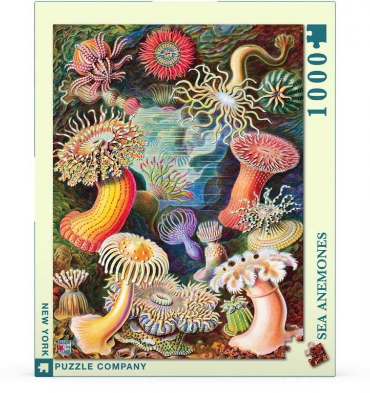 New\u0020York\u0020Puzzle\u0020Company\u0020Zeeanemonen\u0020\u002D\u00201000\u0020stukjes