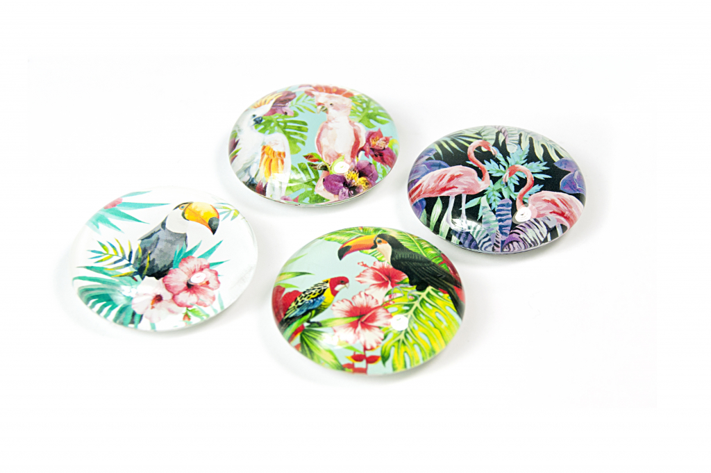 Trendform\u0020Magnet\u0020Eye\u0020\u002D\u0020Jungle\u0020Bird\u0020\u002D\u0020set\u0020van\u00204\u0020verschillende