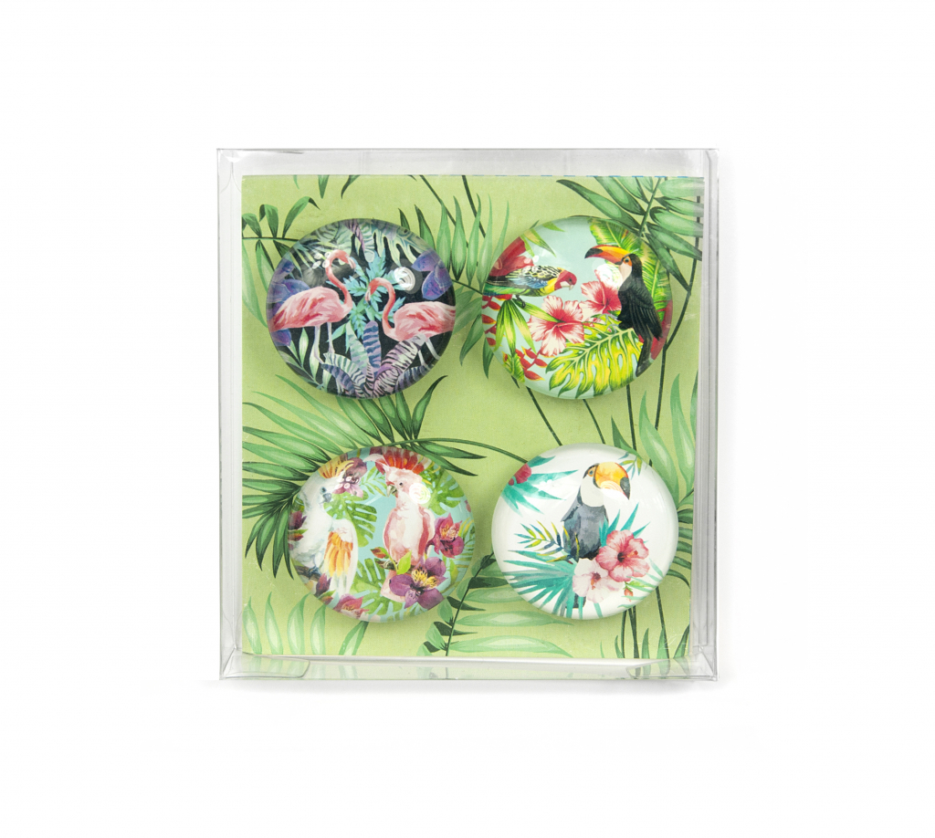 Trendform\u0020Magnet\u0020Eye\u0020\u002D\u0020Jungle\u0020Bird\u0020\u002D\u0020set\u0020van\u00204\u0020verschillende
