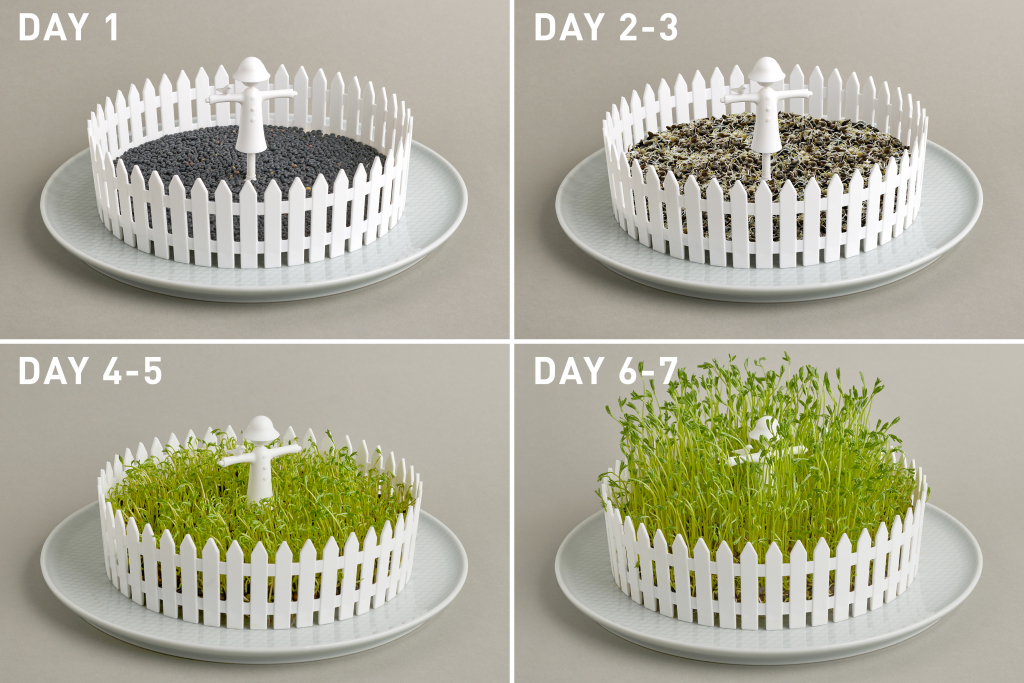 Peleg\u0020Design\u0020Seed\u0020Field\u0020\u002D\u0020Peleg\u0020Design\u0020Zaadveld