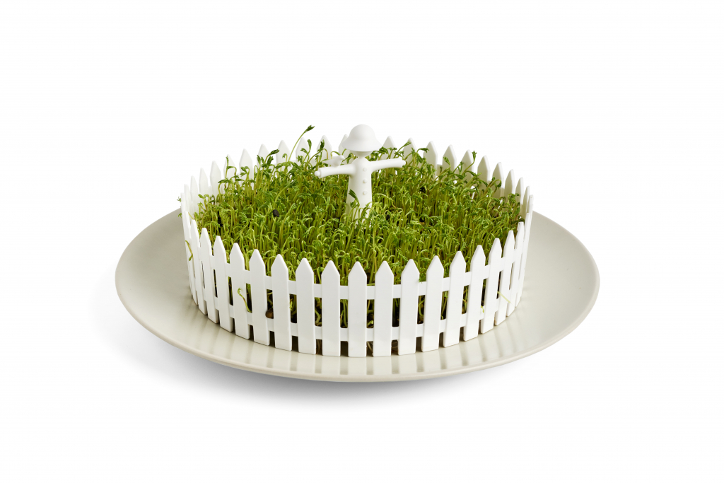 Peleg\u0020Design\u0020Seed\u0020Field\u0020\u002D\u0020Peleg\u0020Design\u0020Zaadveld