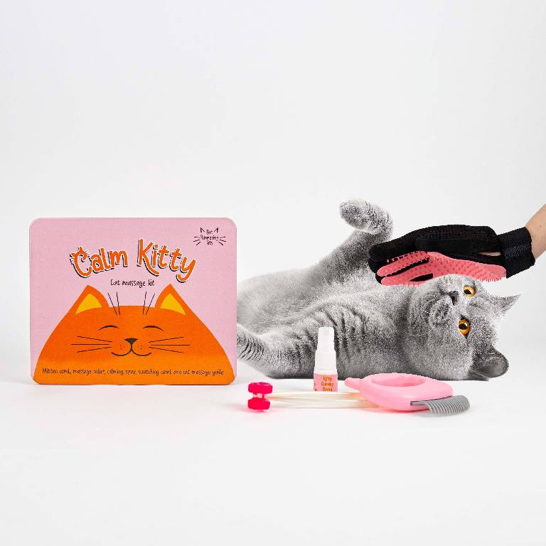Gift\u0020Republic\u0020Massage\u0020Kit\u0020\u002D\u0020Kat