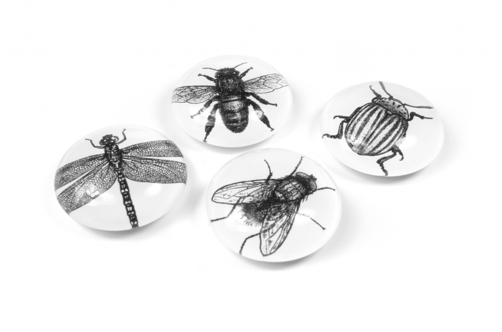 Trendform\u0020Magnet\u0020Eye\u0020\u002D\u0020Bug\u0020\u002D\u0020set\u0020van\u00204\u0020verschillende