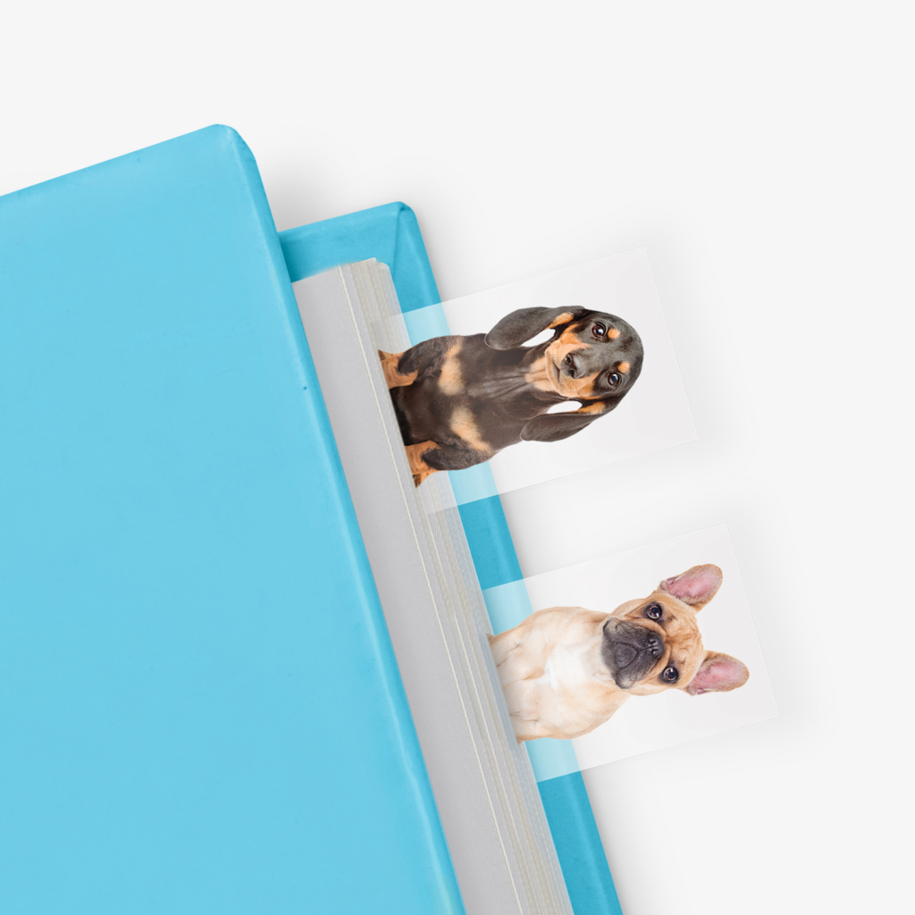 Mosterd\u0020Hond\u0020In\u0020Een\u0020Boek\u0020\u002D\u0020100\u0020vellen