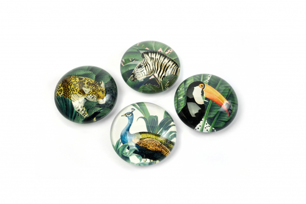 Trendform\u0020Magnet\u0020Eye\u0020\u002D\u0020Royal\u0020Garden\u0020\u002D\u0020set\u0020van\u00204\u0020verschillende