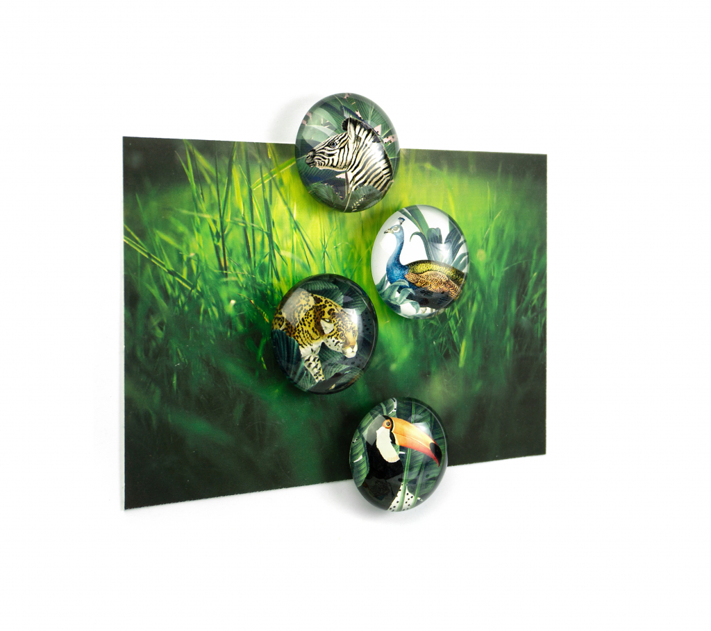 Trendform\u0020Magnet\u0020Eye\u0020\u002D\u0020Royal\u0020Garden\u0020\u002D\u0020set\u0020van\u00204\u0020verschillende