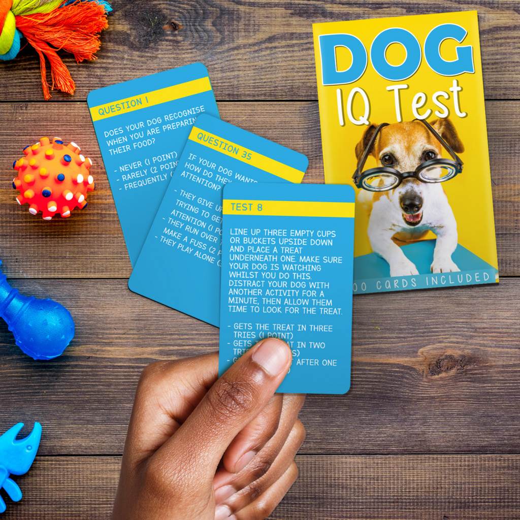 Gift\u0020Republic\u0020Honden\u0020IQ\u0020Test