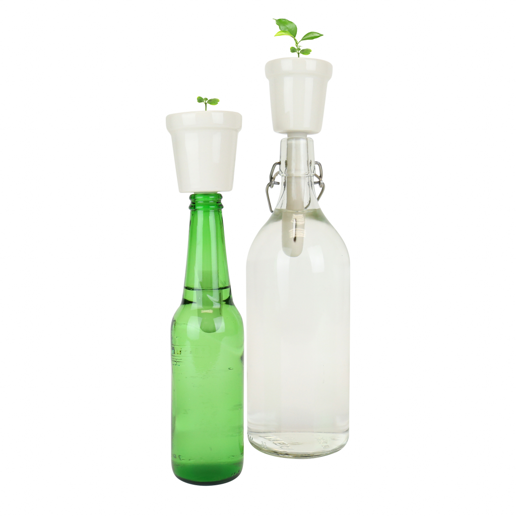 Gift\u0020Republic\u0020Botanische\u0020Flessen\u0020\u002D\u0020Bonsai\u0020Boom