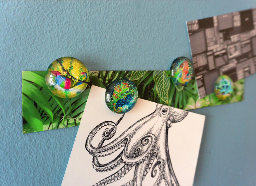 Trendform\u0020Verhaaldoos\u0020Kameleon\u0020Magneten