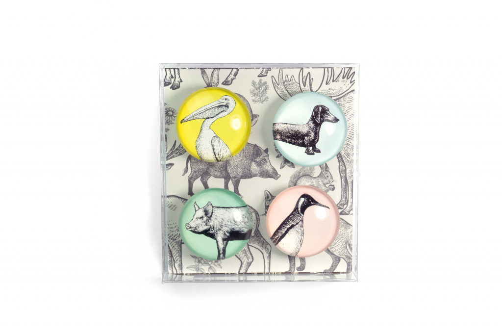 Trendform\u0020Magnet\u0020Eye\u0020\u002D\u0020Dieren\u0020\u002D\u0020set\u0020van\u00204\u0020verschillende