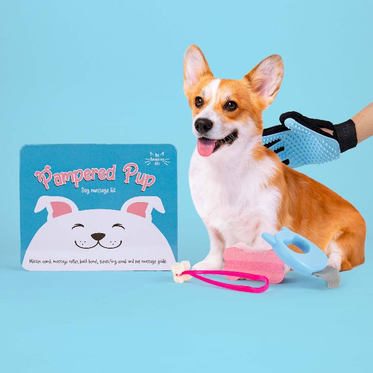 Gift\u0020Republic\u0020Massage\u0020Kit\u0020\u002D\u0020Hond