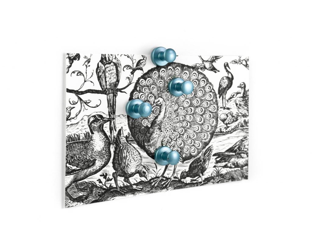 Trendform\u0020Magnet\u0020Mini\u002Dmax\u0020\u002D\u0020set\u0020van\u00204\u0020\u002D\u0020Blauw