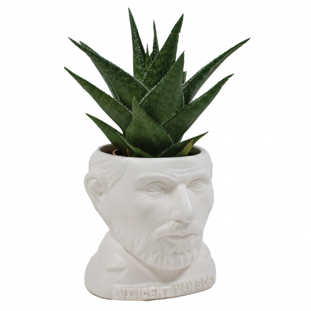 UPG\u0020Planter\u0020\u002D\u0020Vincent\u0020Van\u0020Gogh