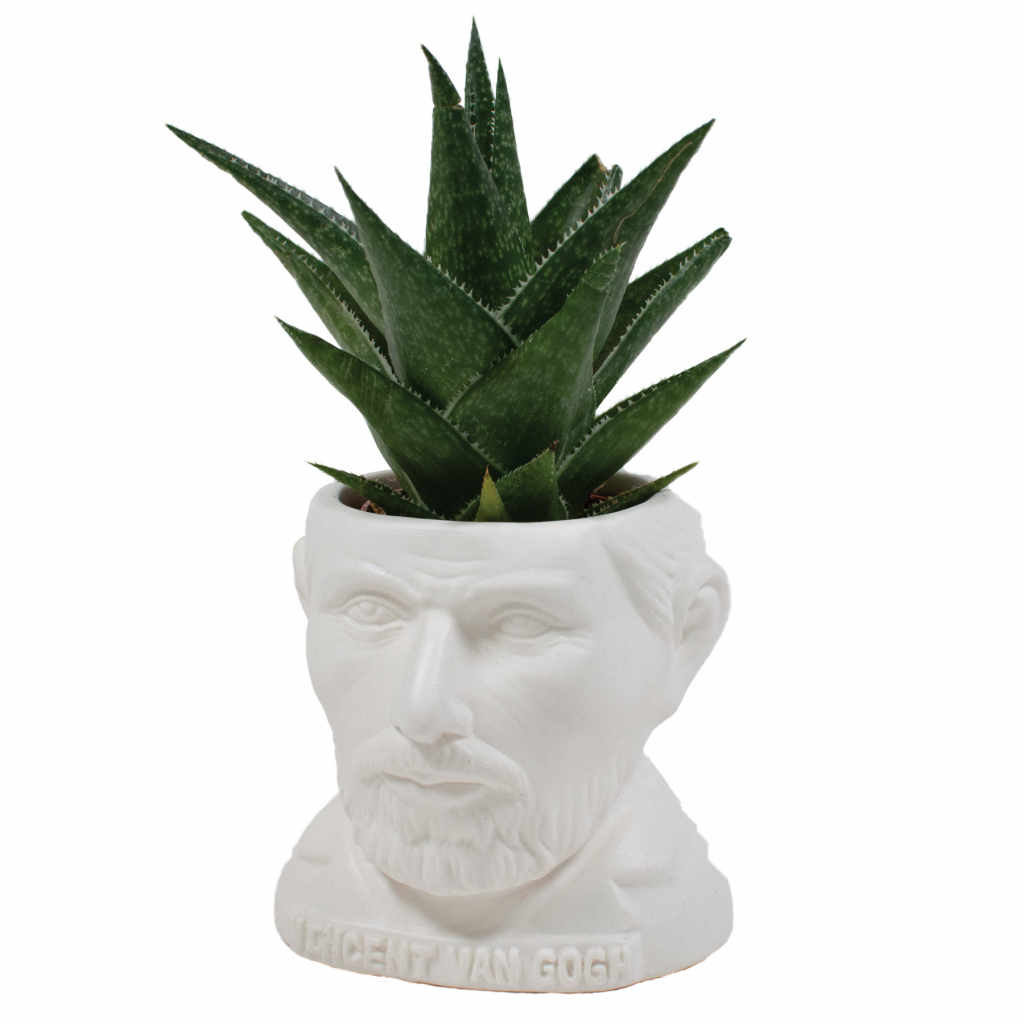 UPG\u0020Planter\u0020\u002D\u0020Vincent\u0020Van\u0020Gogh