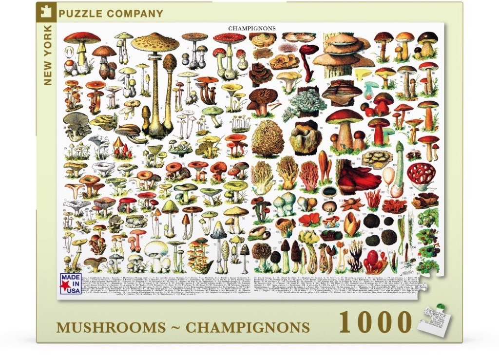 New\u0020York\u0020Puzzle\u0020Company\u0020Paddenstoelen\u0020\u007E\u0020Champignons\u0020\u002D\u00201000\u0020stukjes