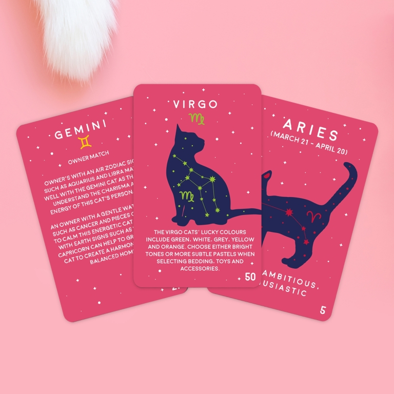 Gift\u0020Republic\u0020Paw\u002Dmistry\u0020Cat\u0020editie