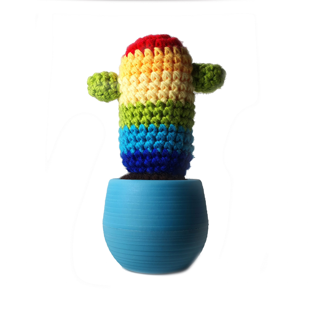 Mosterd\u0020Cactus\u0020Regenboog