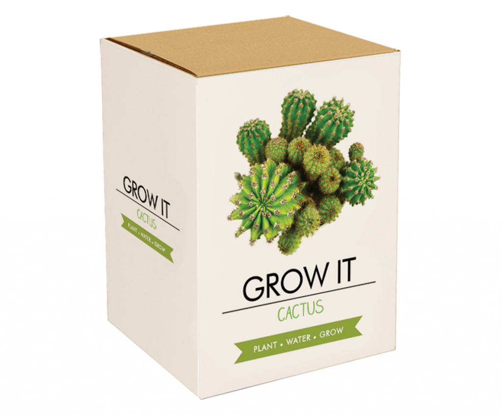 Gift\u0020Republic\u0020Cactus\u0020Planten