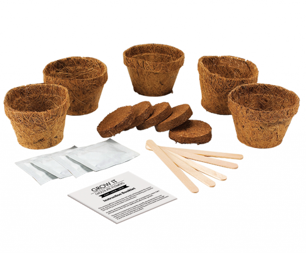Gift\u0020Republic\u0020Cactus\u0020Planten