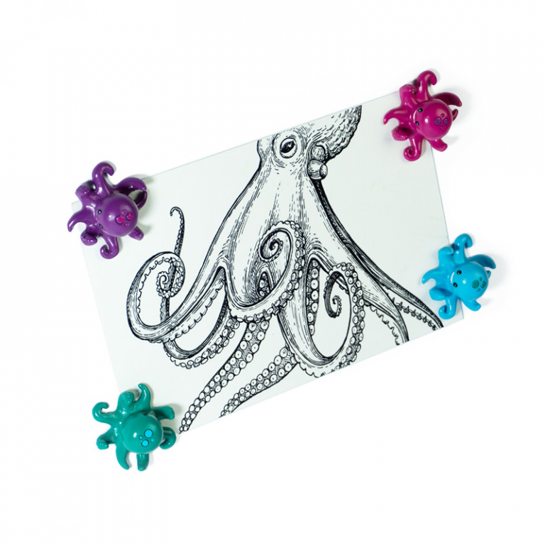 Trendform\u0020Magnetische\u0020Octopus\u0020\u002D\u0020set\u0020van\u00204\u0020verschillende