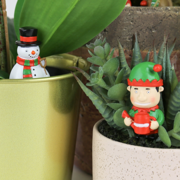 Gift\u0020Republic\u0020Feestelijke\u0020Plantenlabels