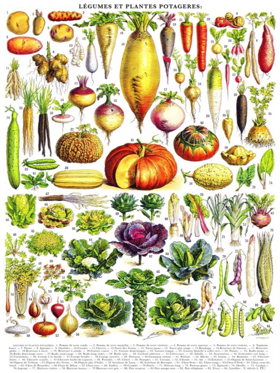 New\u0020York\u0020Puzzle\u0020Company\u0020Groenten\u0020\u007E\u0020L\u00E9gumes\u0020\u002D\u00201000\u0020stukjes