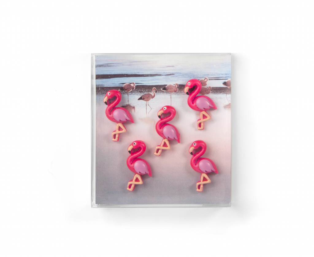 Trendform\u0020Magneet\u0020Flamingo\u0020\u002D\u0020set\u0020van\u00205\u0020stuks