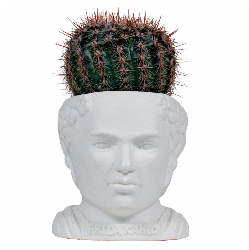 UPG\u0020Planter\u0020\u002D\u0020Frida\u0020Kahlo\u000A\u000AUPG\u0020Planter\u0020\u002D\u0020Frida\u0020Kahlo