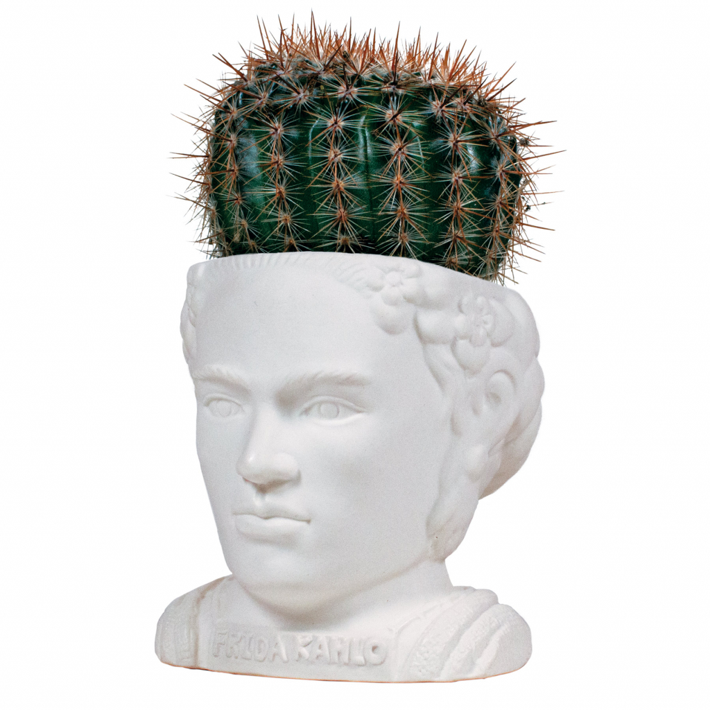 UPG\u0020Planter\u0020\u002D\u0020Frida\u0020Kahlo\u000A\u000AUPG\u0020Planter\u0020\u002D\u0020Frida\u0020Kahlo