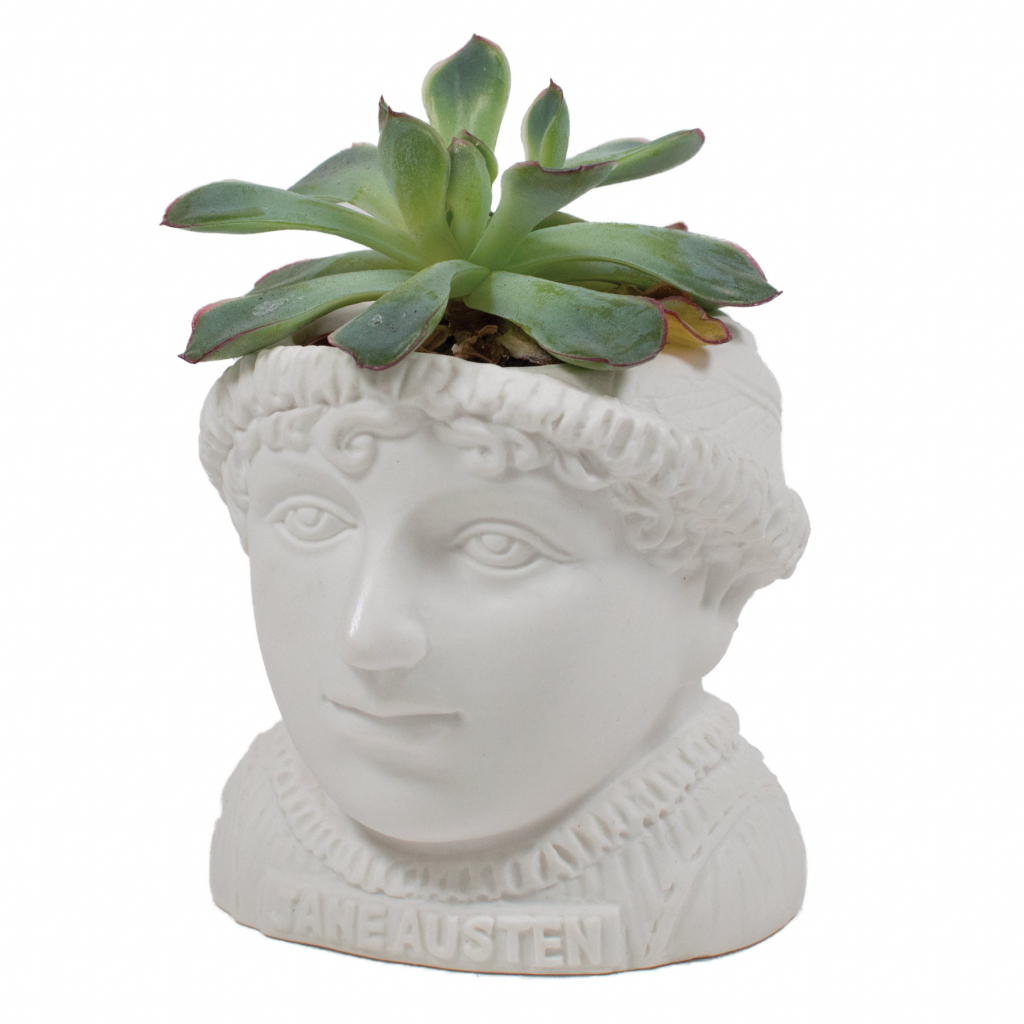 UPG\u0020Planter\u0020\u002D\u0020Jane\u0020Austen\u000A\u000AUPG\u0020Planter\u0020\u002D\u0020Jane\u0020Austen