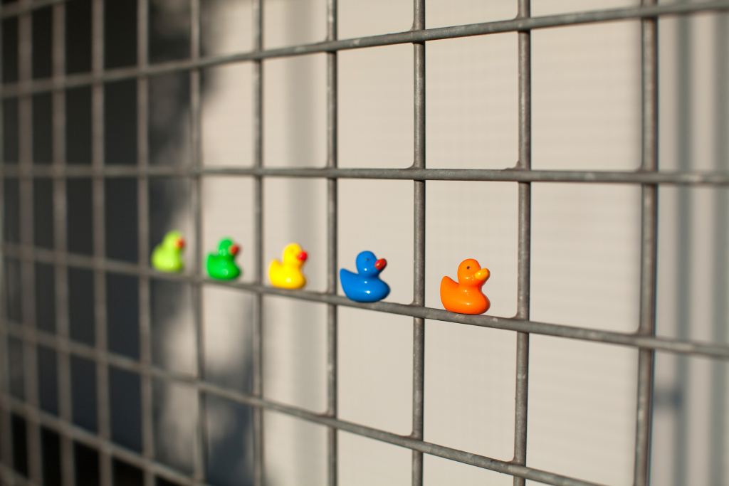 Trendform\u0020Magnetische\u0020Eend\u0020\u002D\u0020set\u0020van\u00206\u0020verschillende