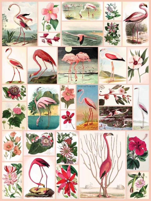 New\u0020York\u0020Puzzle\u0020Company\u0020Flamingo\u0027s\u0020en\u0020Bloemen\u0020\u002D\u00201000\u0020stukjes